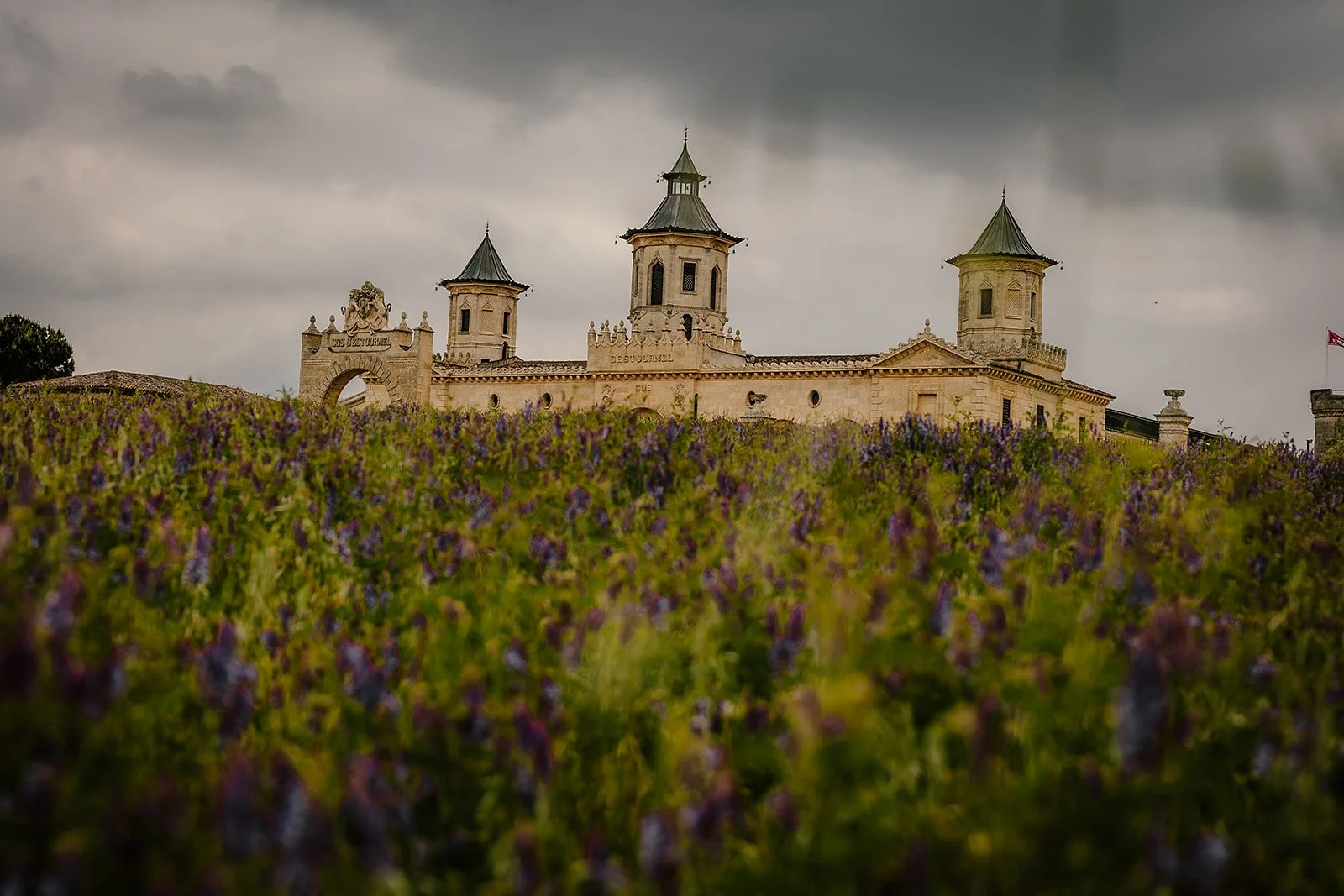 Chateau Cos d'Estourne  - Casey Bell Photography (27).jpg