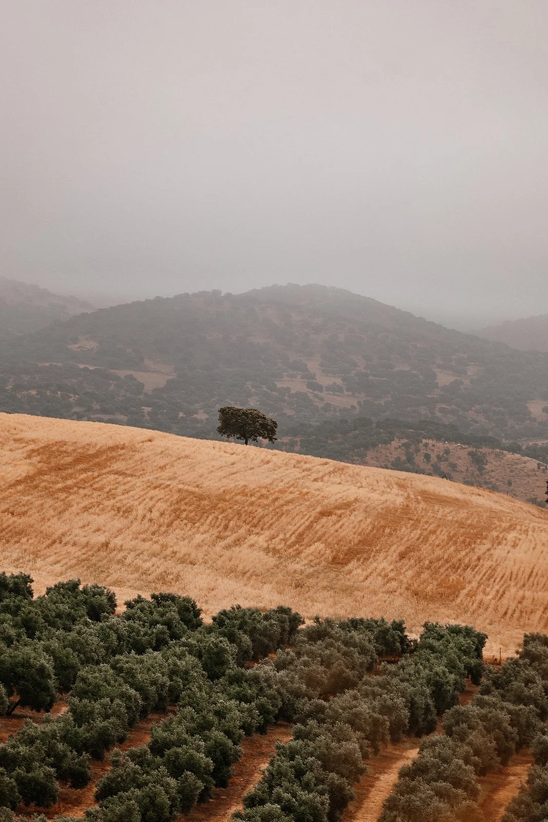 Cordoba - Casey Bell Photography (7).jpg