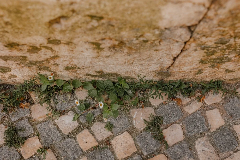 Lisbon - Casey Bell Photography - Generally Wandering Copyright (20).jpg