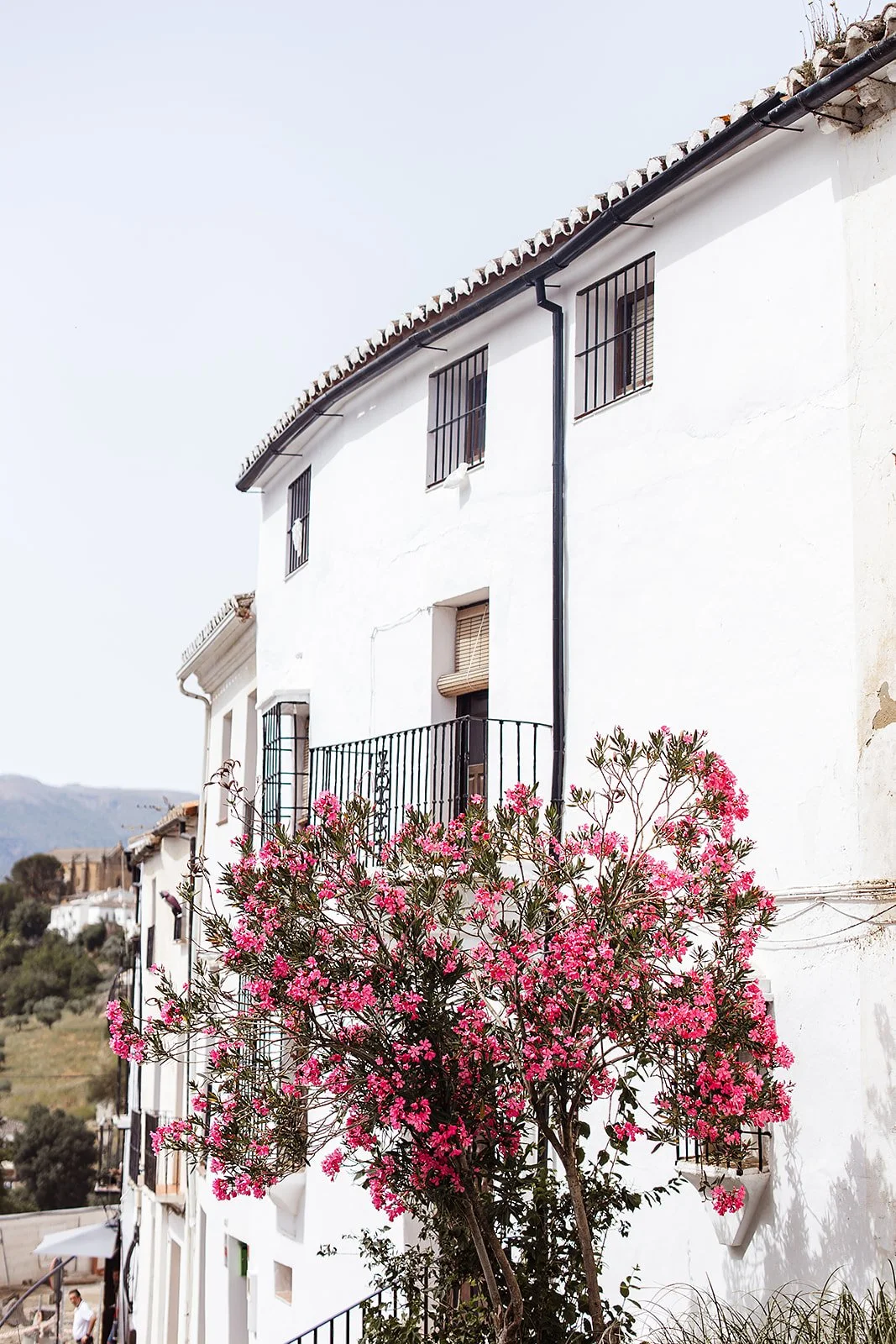 Ronda, Spain - Casey Bell Photography (42).jpg