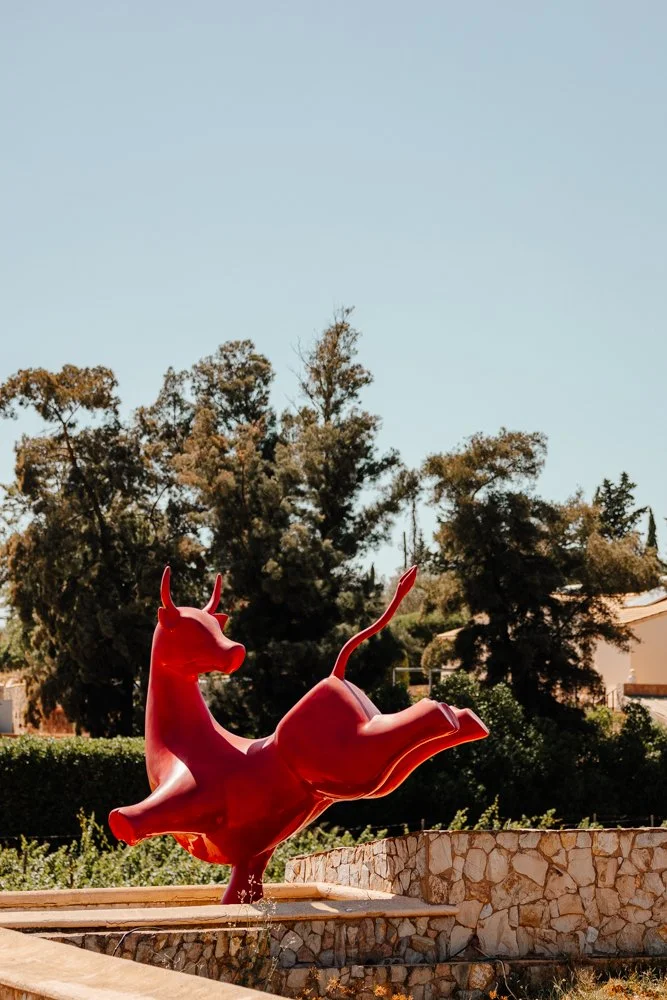 Quinta dos Vales Algarve - Casey Bell Photography (17).jpg