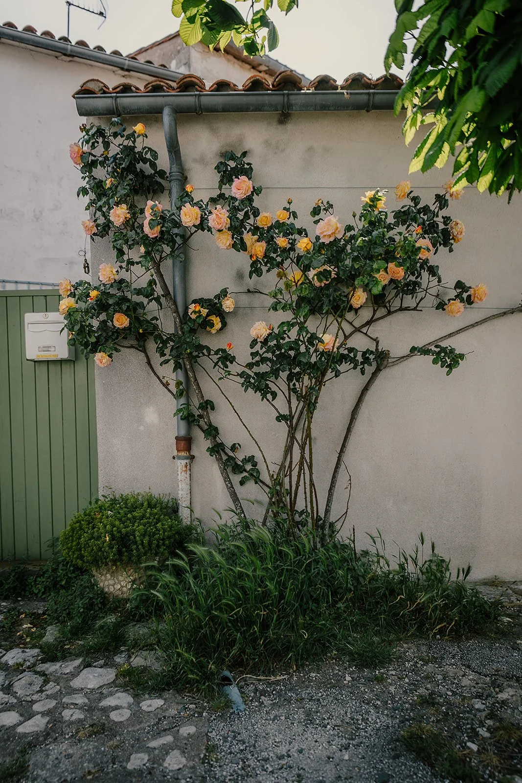 France - Casey Bell Photography (43).jpg