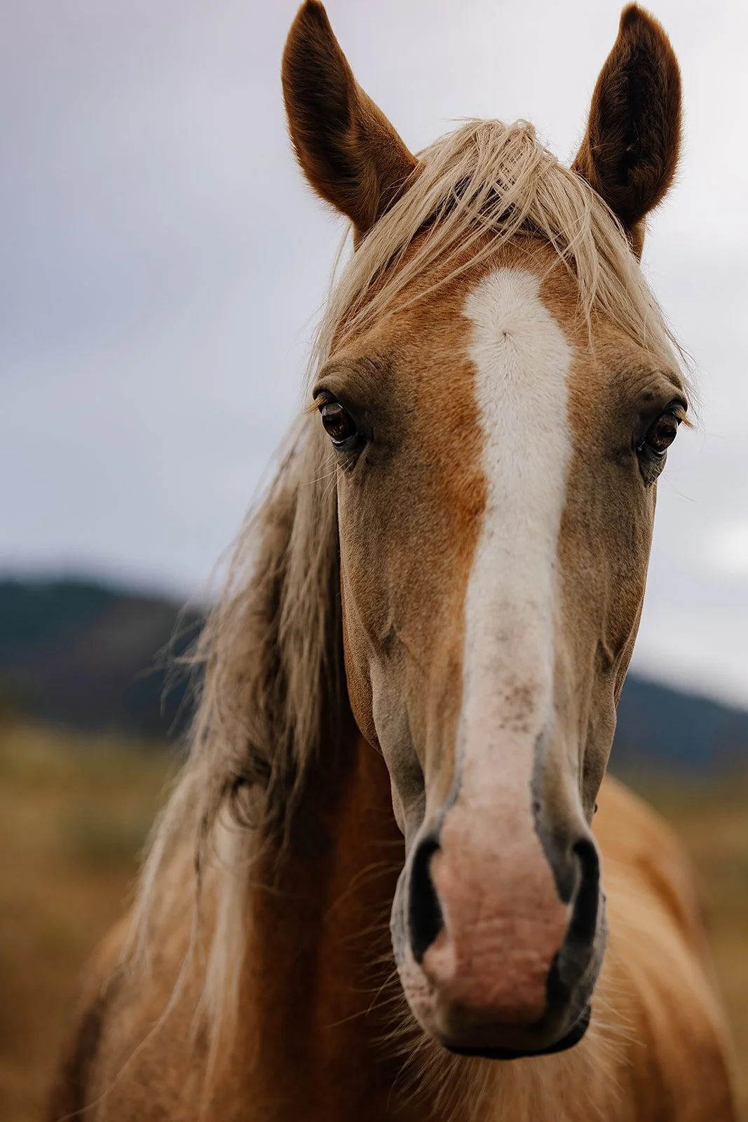 Idaho Road Trip - © Casey Bell Photography (21).jpg