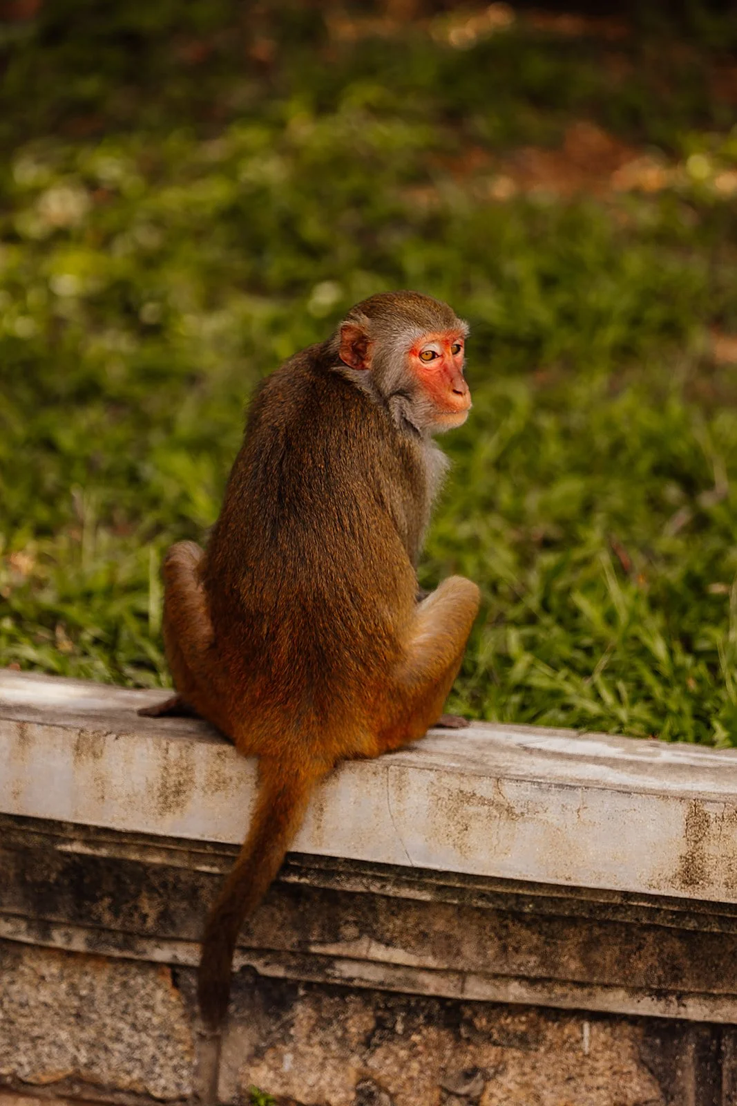 An Bang - Casey Bell Photography-190.jpg