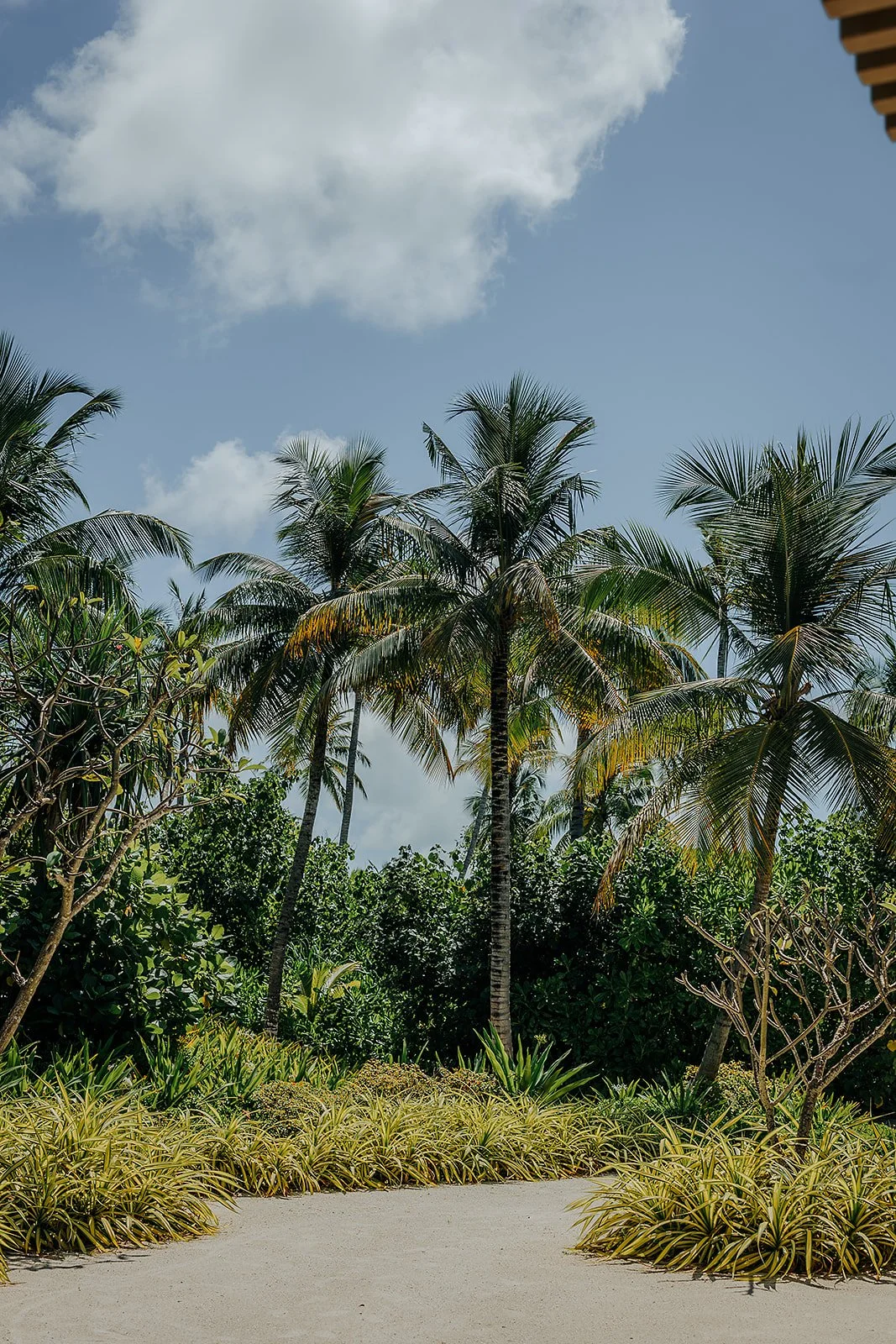 Patina Maldives, Fari Islands - Casey Bell Photography (41).jpg