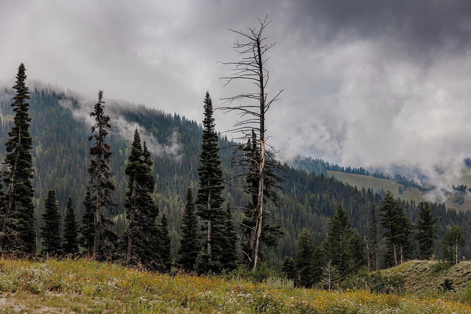 Idaho Road Trip - © Casey Bell Photography (32).jpg