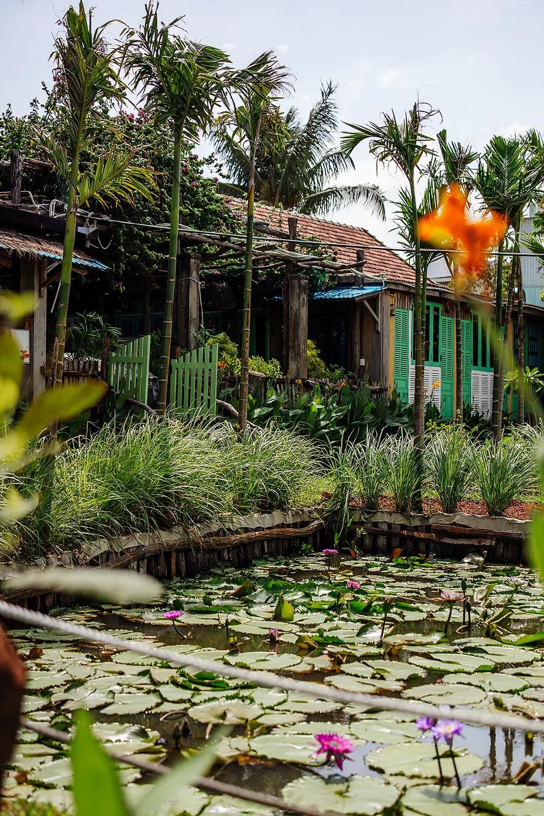 Hoi An - Casey Bell Photographer (50).jpg