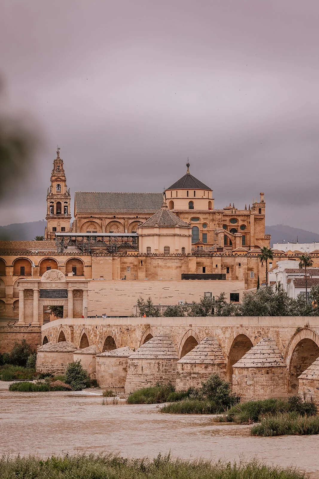 Cordoba - Casey Bell Photography (21).jpg