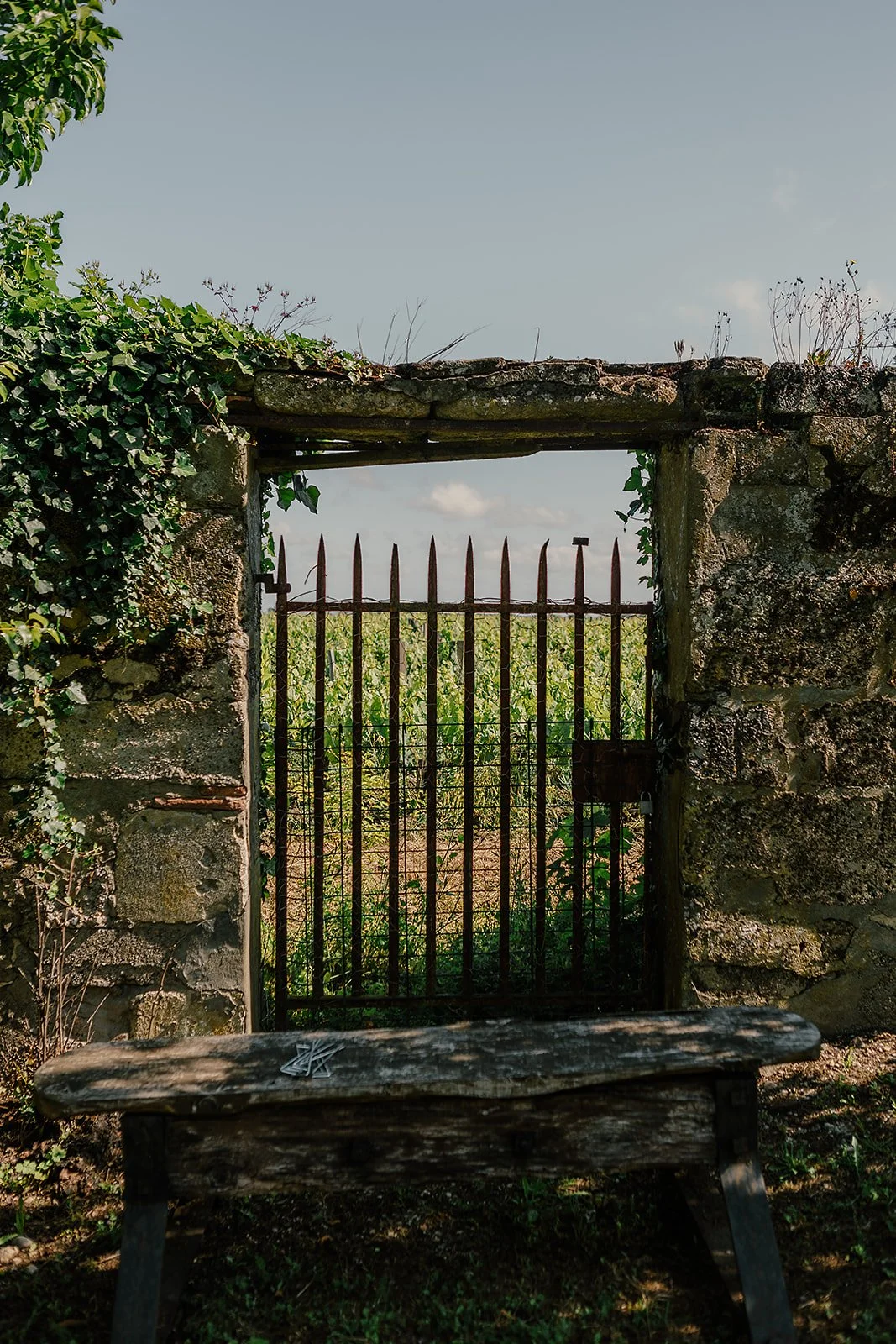 La Maison d'Estournel - Casey Bell Photography (6).jpg