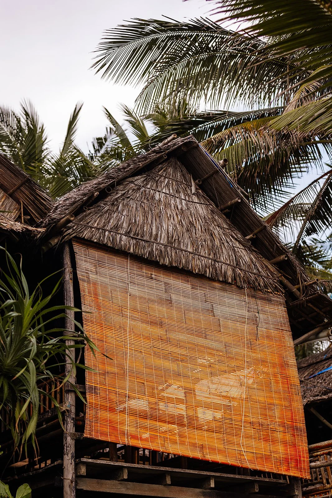 An Bang - Casey Bell Photography-62.jpg