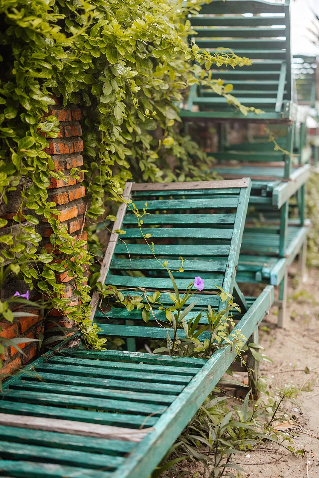 An Bang - Casey Bell Photography-3.jpg