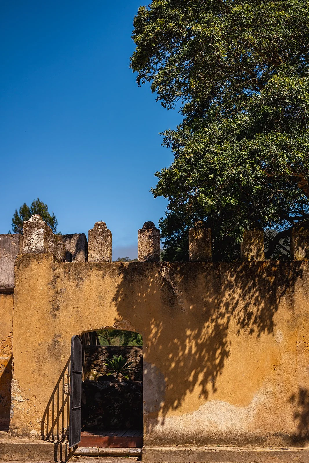 Penha Longa Resort - Casey Bell Photography (30).jpg