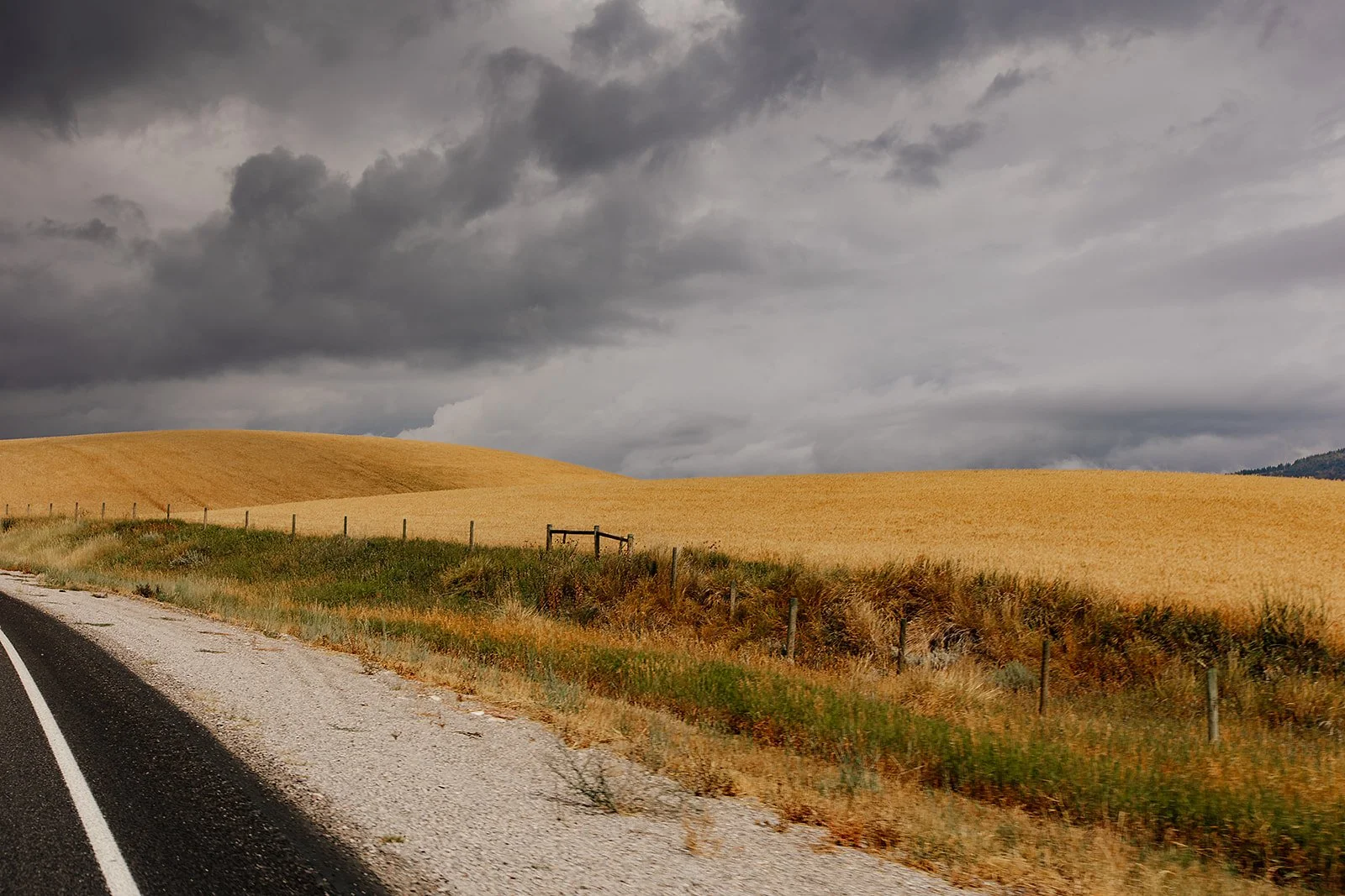 Idaho Road Trip - © Casey Bell Photography (41).jpg