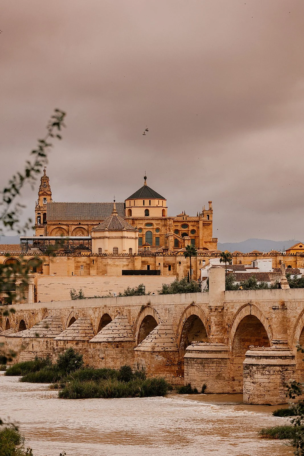 Cordoba - Casey Bell Photography (2).jpg