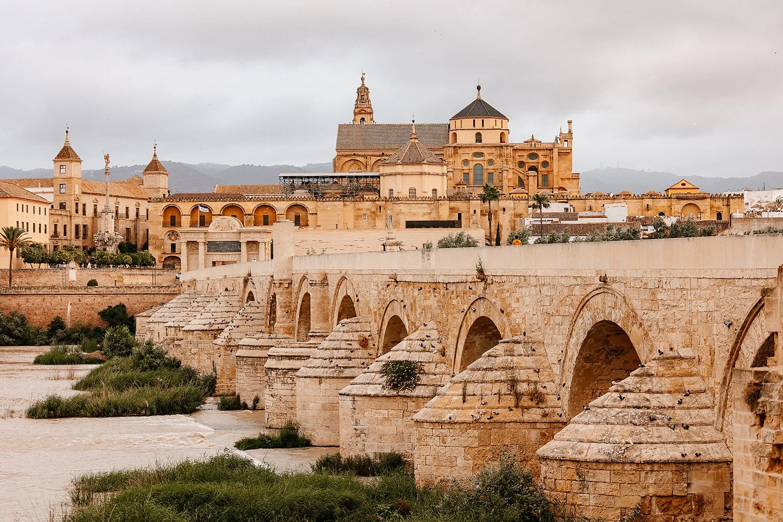 Cordoba - Casey Bell Photography (5).jpg