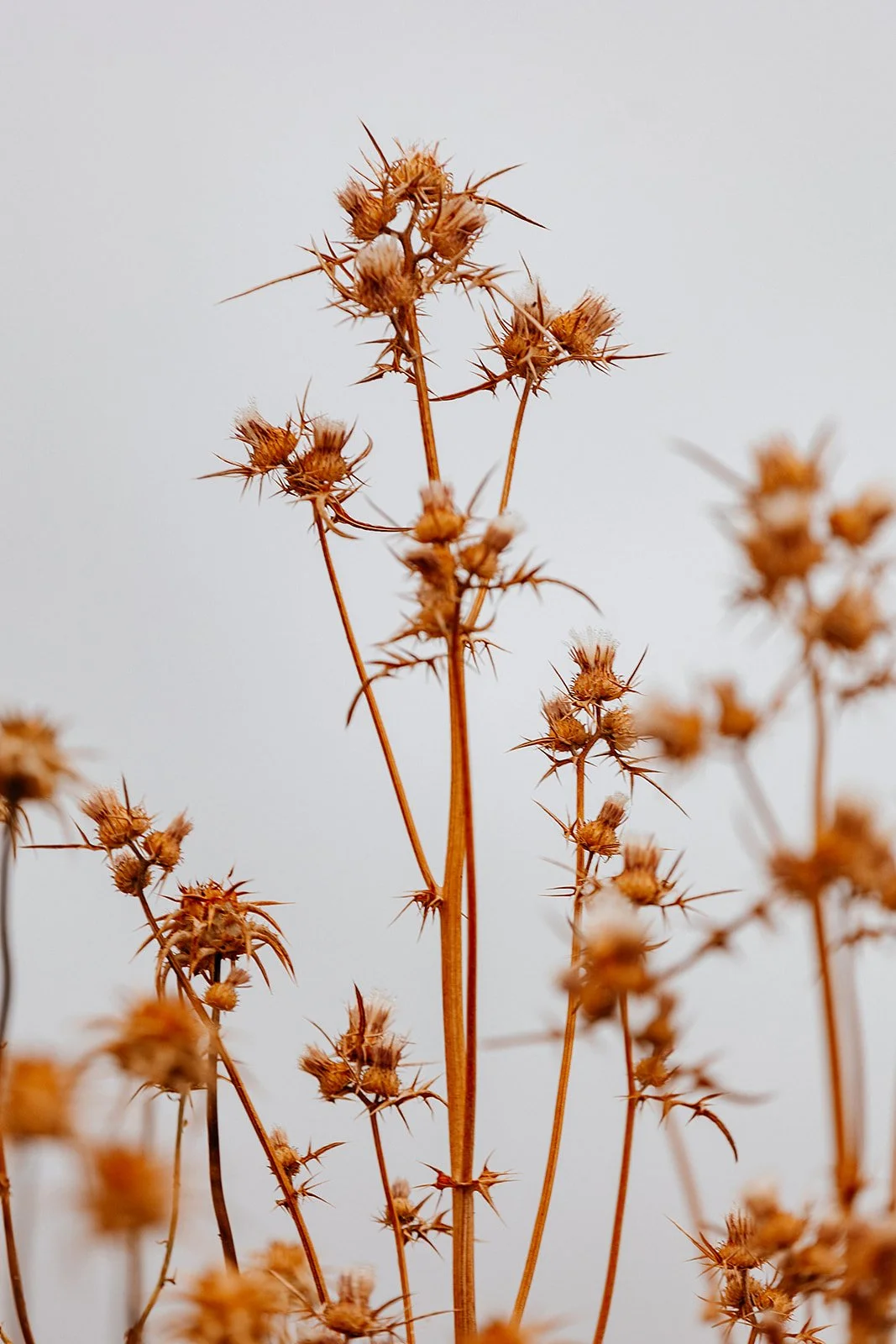 Cordoba - Casey Bell Photography (6).jpg