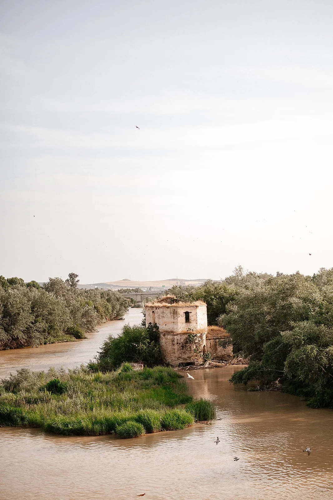 Cordoba - Casey Bell Photography (23).jpg