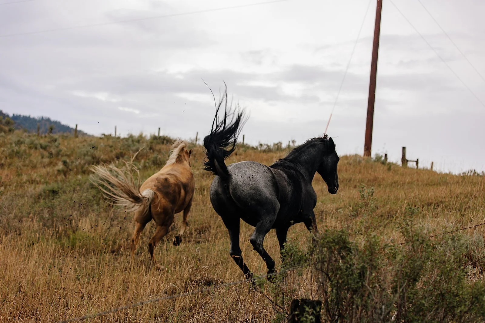 Idaho Road Trip - © Casey Bell Photography (8).jpg
