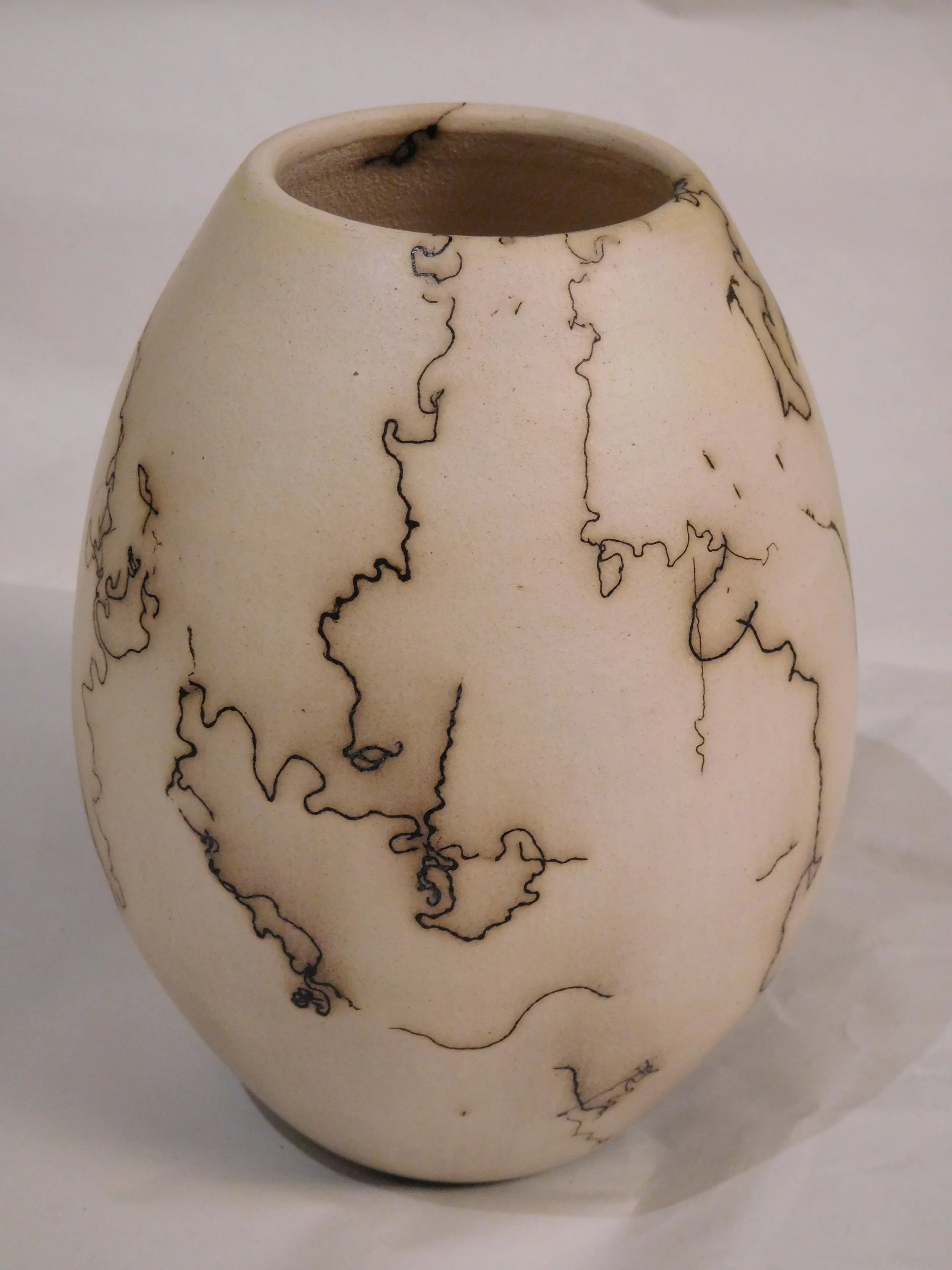 Custom Horsehair Raku by Anne Neuenschwander, Tucson Arizona