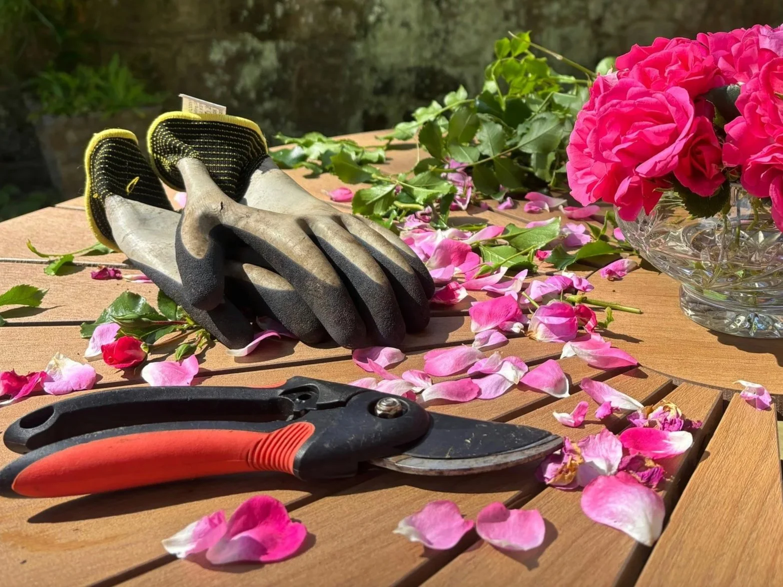 Tool Sharpening  4/11/26  1-2 pm