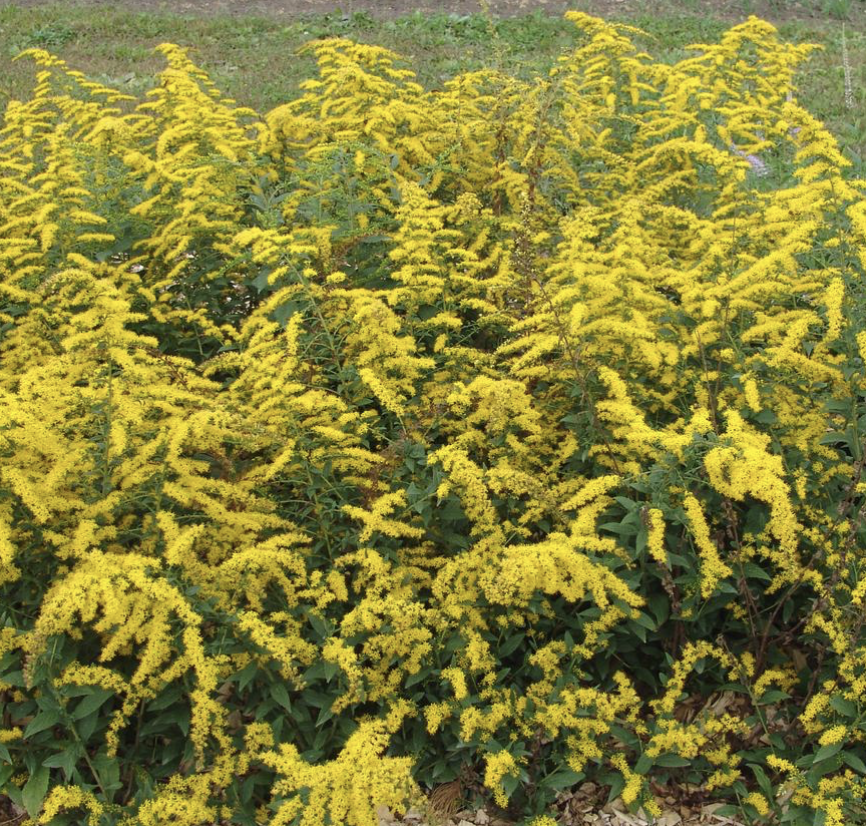 Screenshot 2026-02-09 at 5.14.03 PM.png