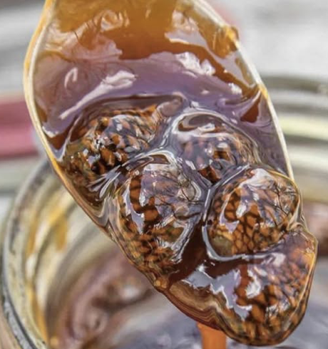 Screenshot 2026-03-27 at 10.27.20 PM.png