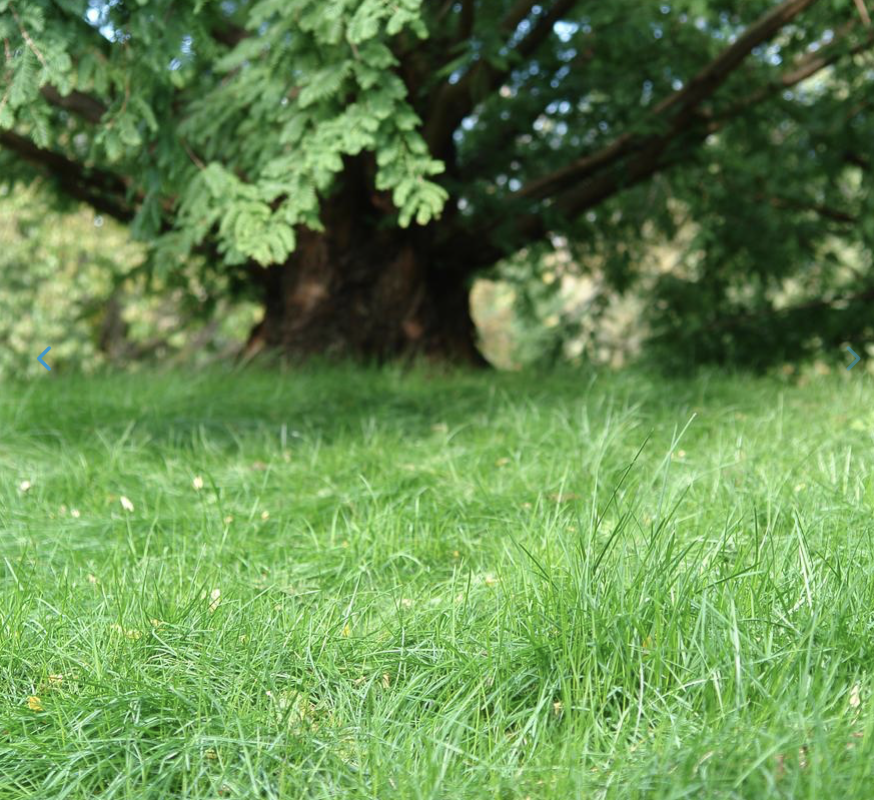 Screenshot 2026-01-26 at 9.33.11 PM.png