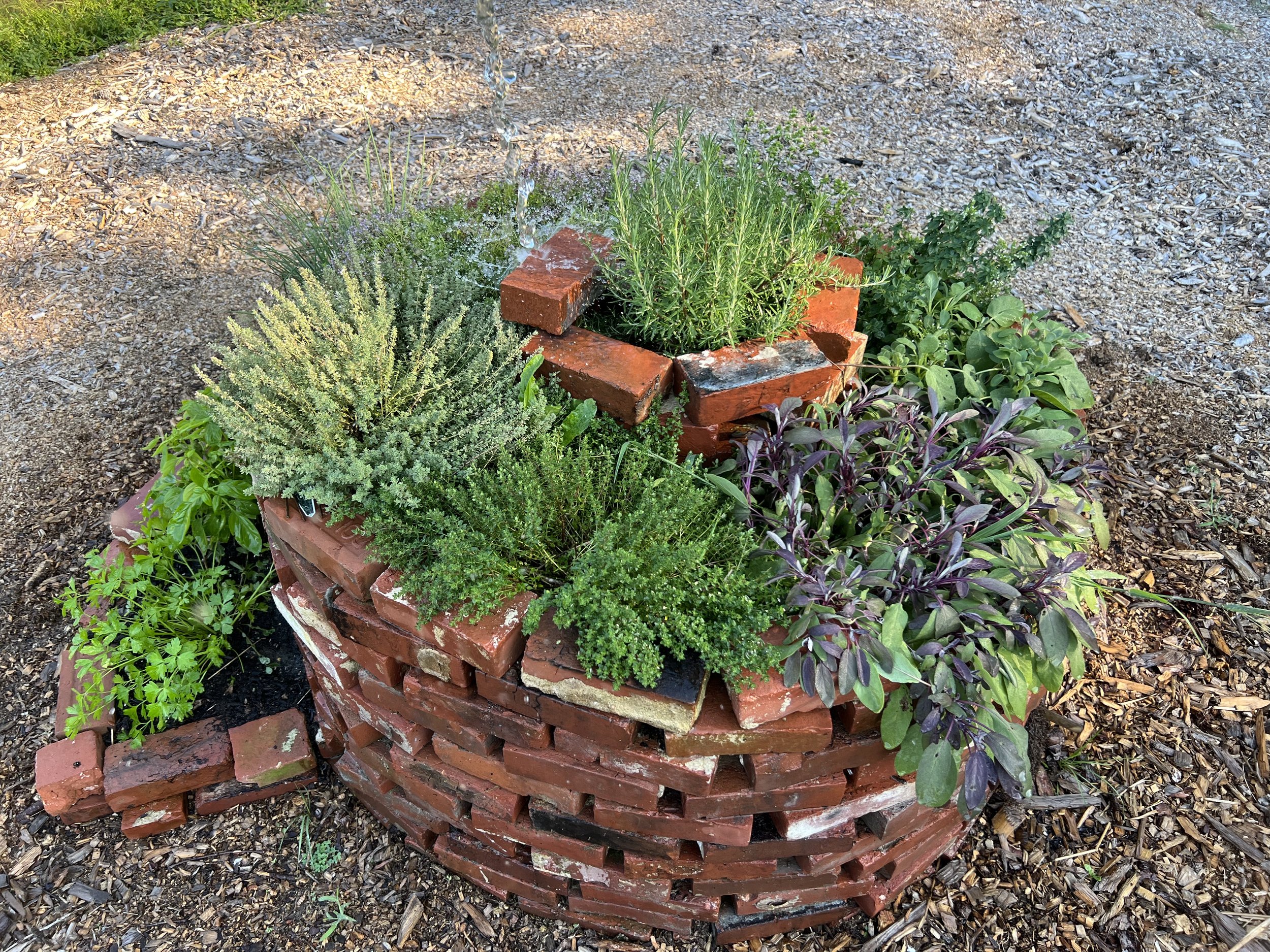 Herbspiral After- Sept .jpeg