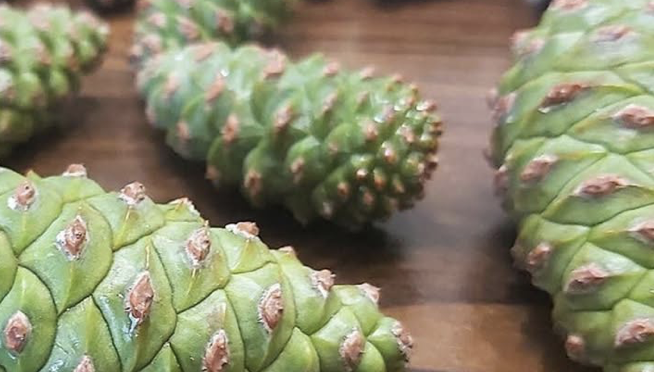 Screenshot 2026-03-27 at 10.27.09 PM.png