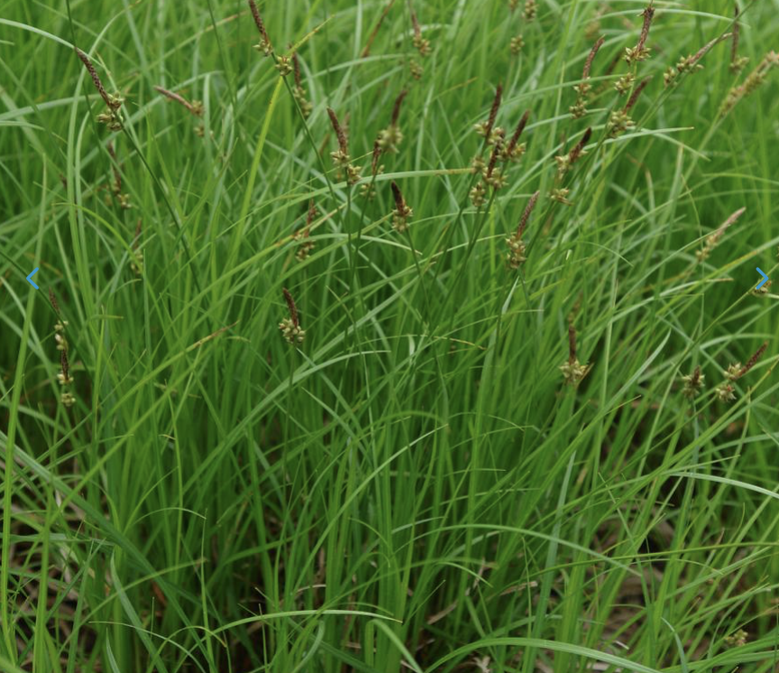 Screenshot 2026-01-26 at 9.33.22 PM.png