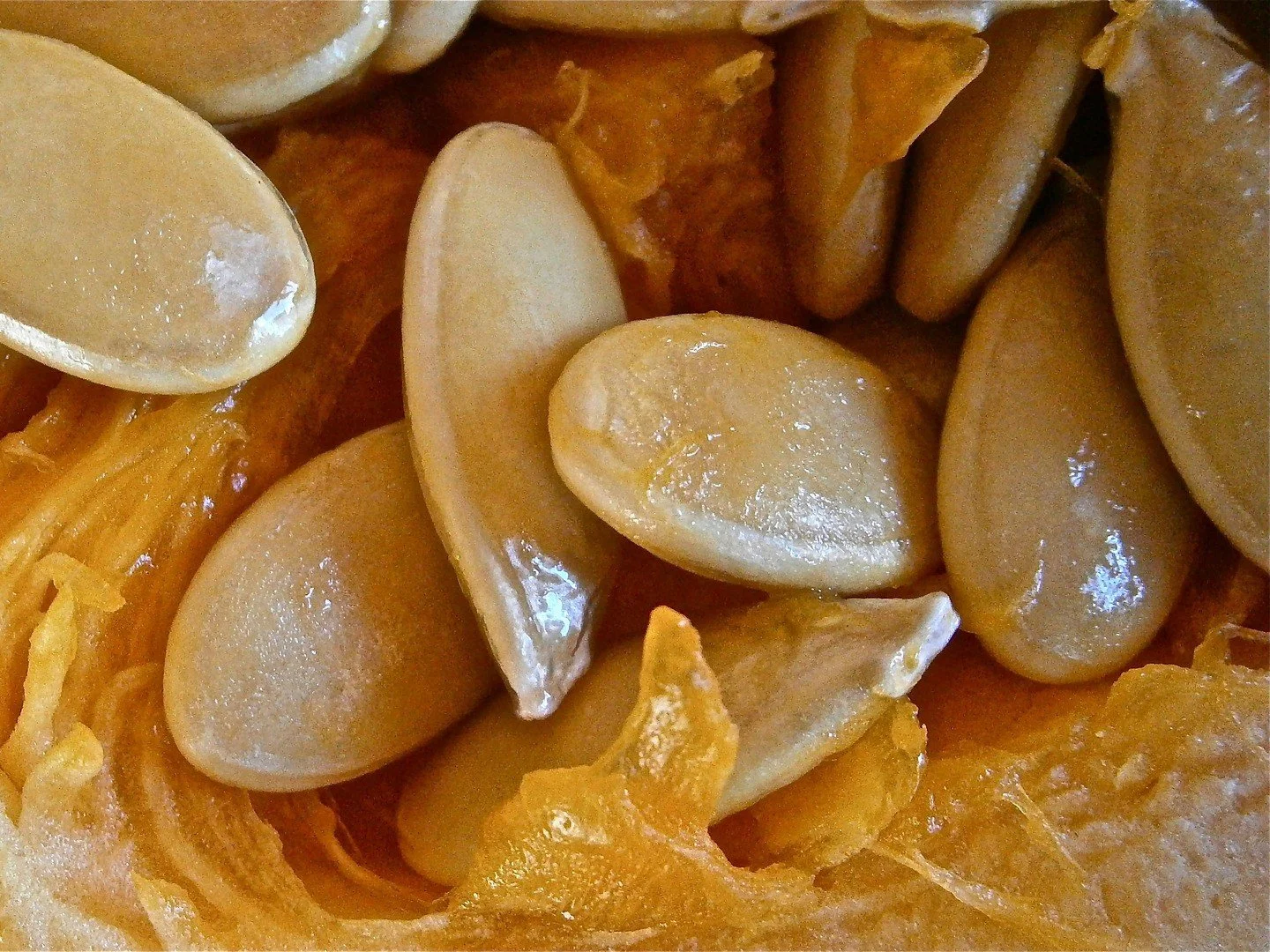 pumpkin seeds.jpg