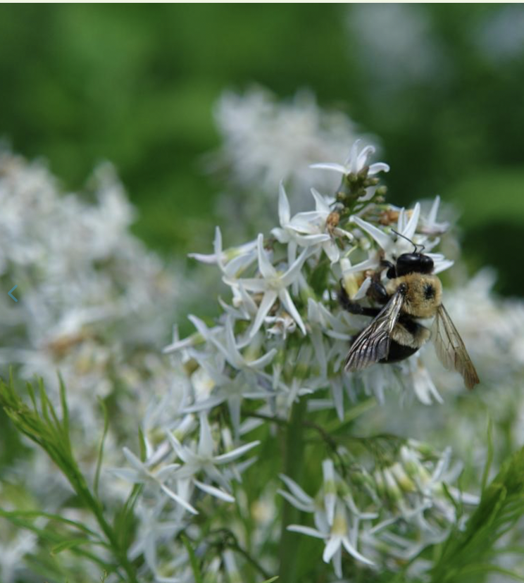 Screenshot 2026-03-02 at 9.34.08 PM.png