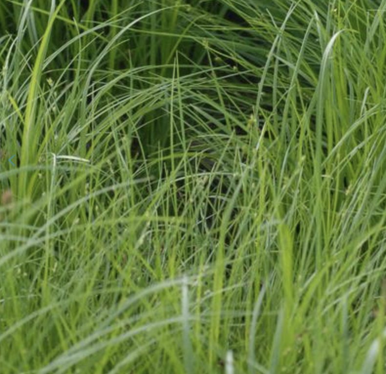 Screenshot 2026-01-26 at 9.33.32 PM.png