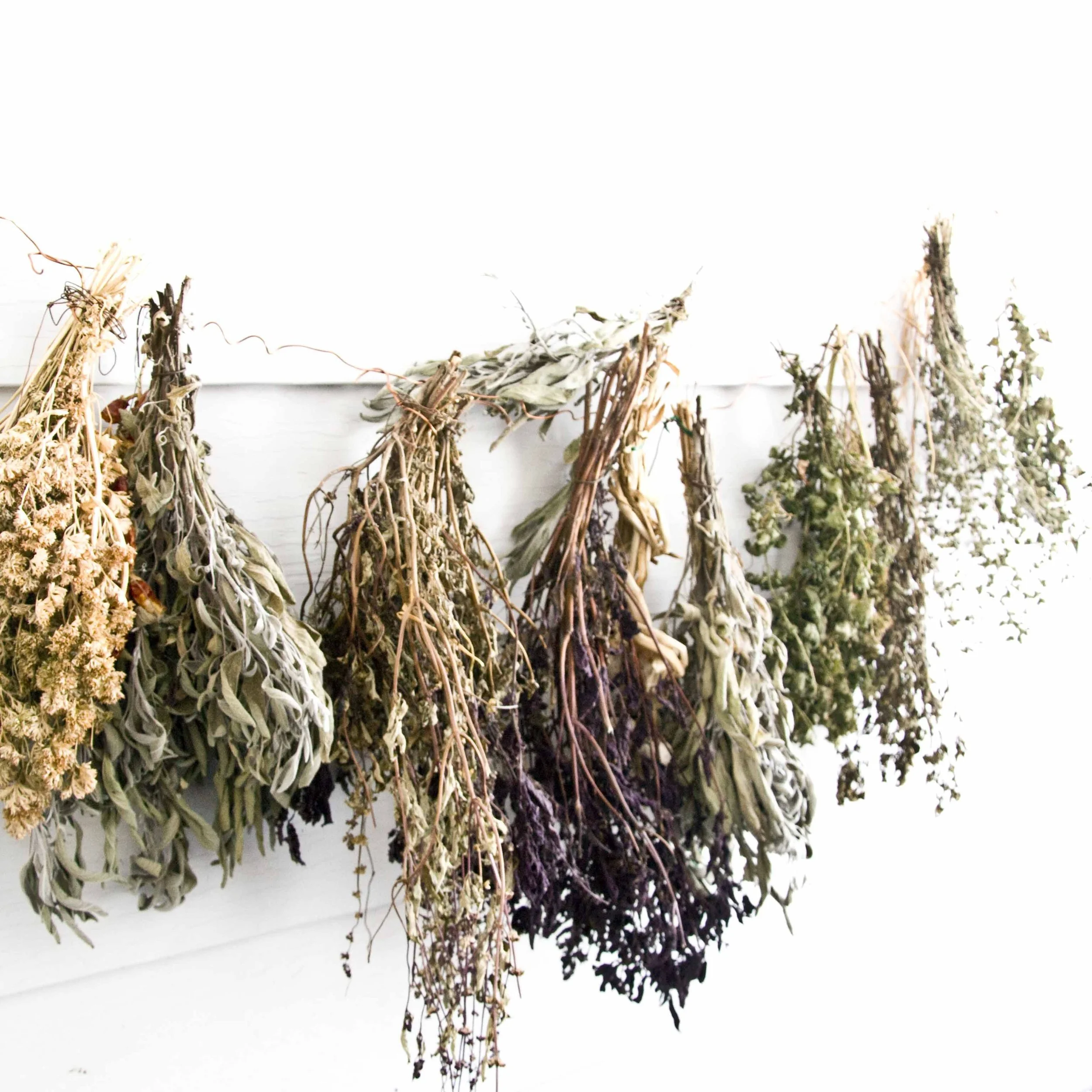 sbaynham-herbs-4481005.jpg