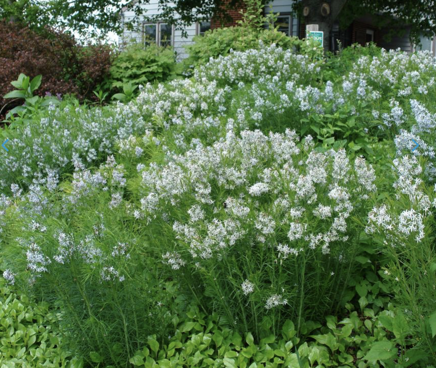 Screenshot 2026-03-02 at 9.33.36 PM.png