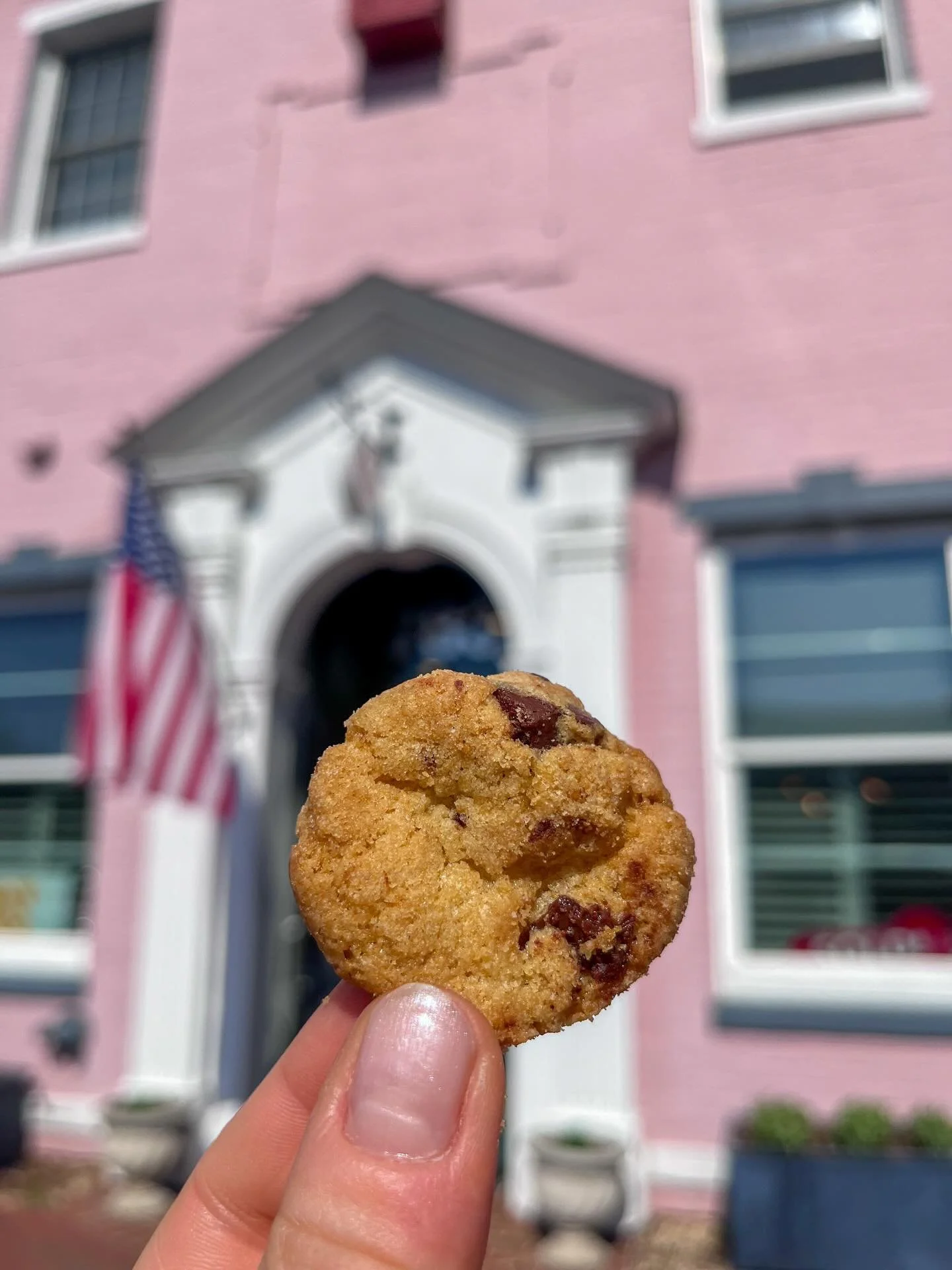 The perfect snackable size for an afternoon stroll. 🍪

@town_of_herndon 

#snack #thoughtfulgifts #minimoments #sweetmoments #minicookies