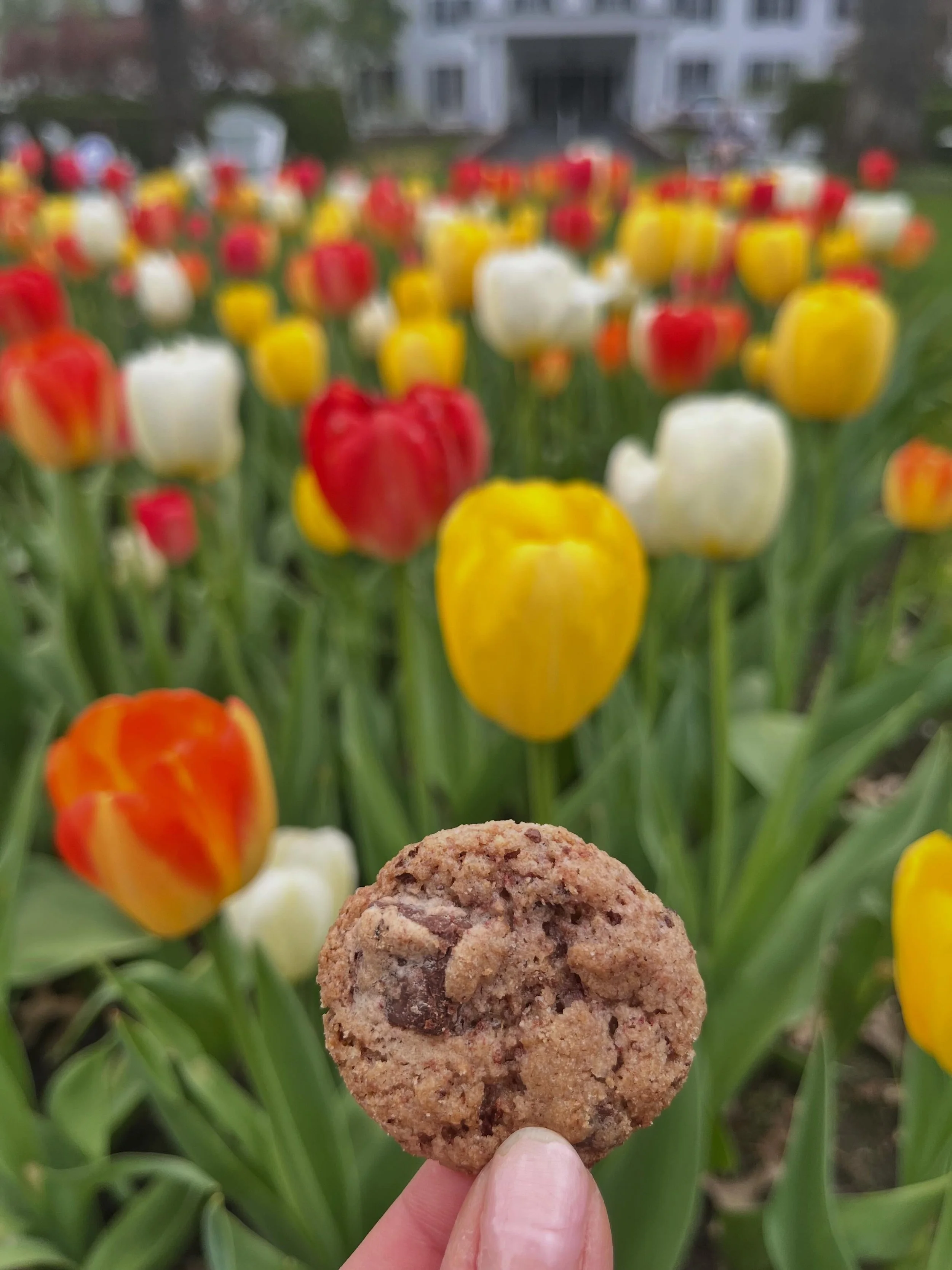Weekend strolls. 

#thoughtfulgifting #thoughtfulgifts #foodgifts #minicookies #sweetmoments