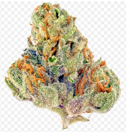 First -Class Kush