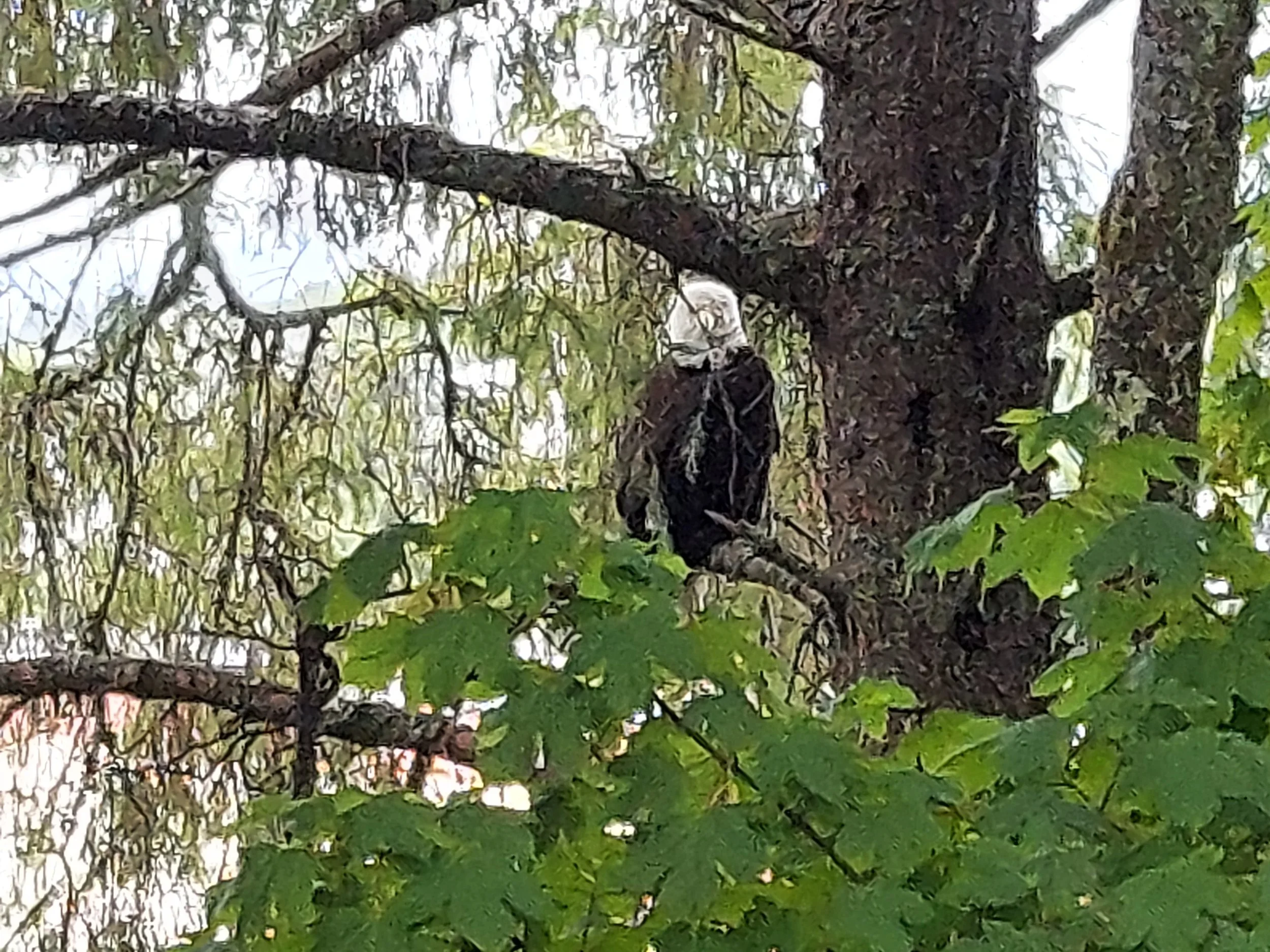 20220706_101101 (1).jpg