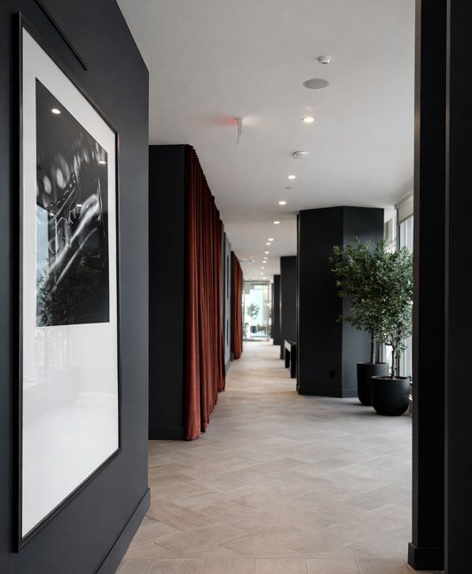 Corridor with large scale art, floor to ceiling drapery and olive trees in Dallas, TX