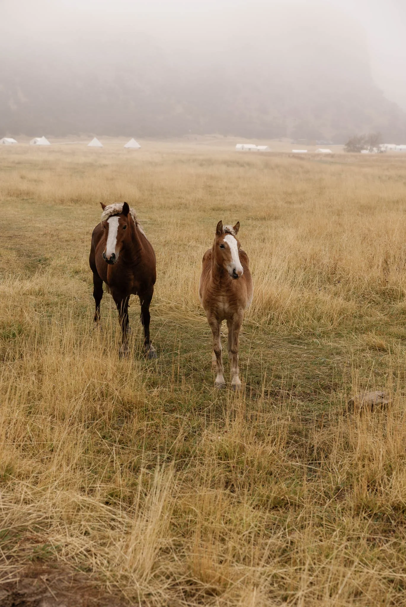 KaseyHollinsPhoto-577_websize.JPG