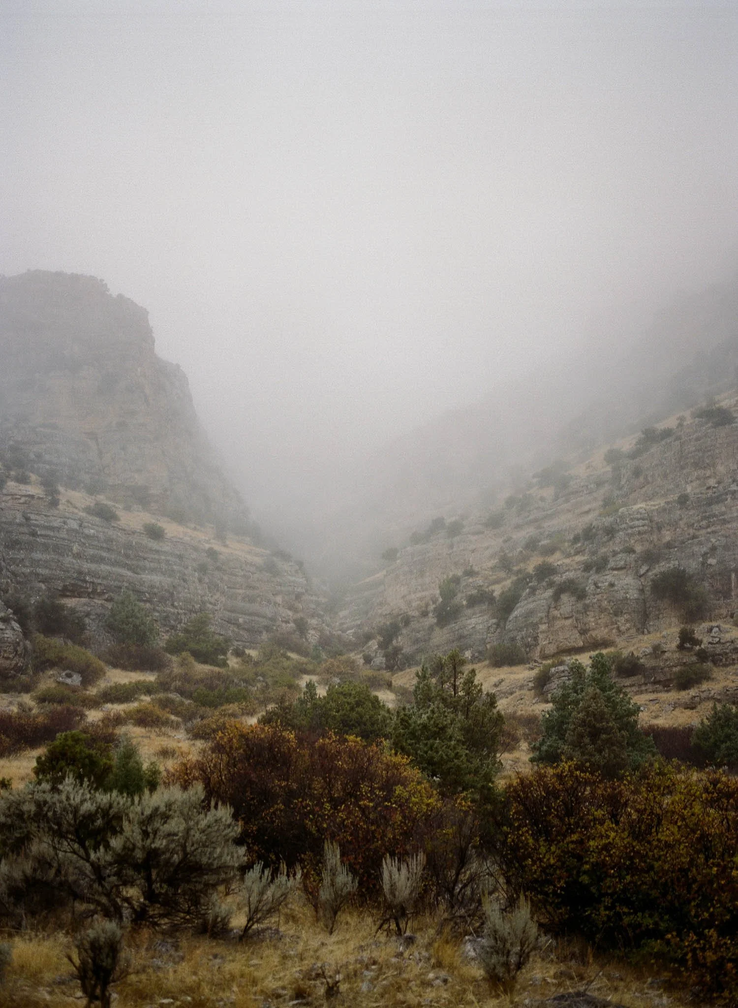 KaseyHollinsPhoto-787.jpg
