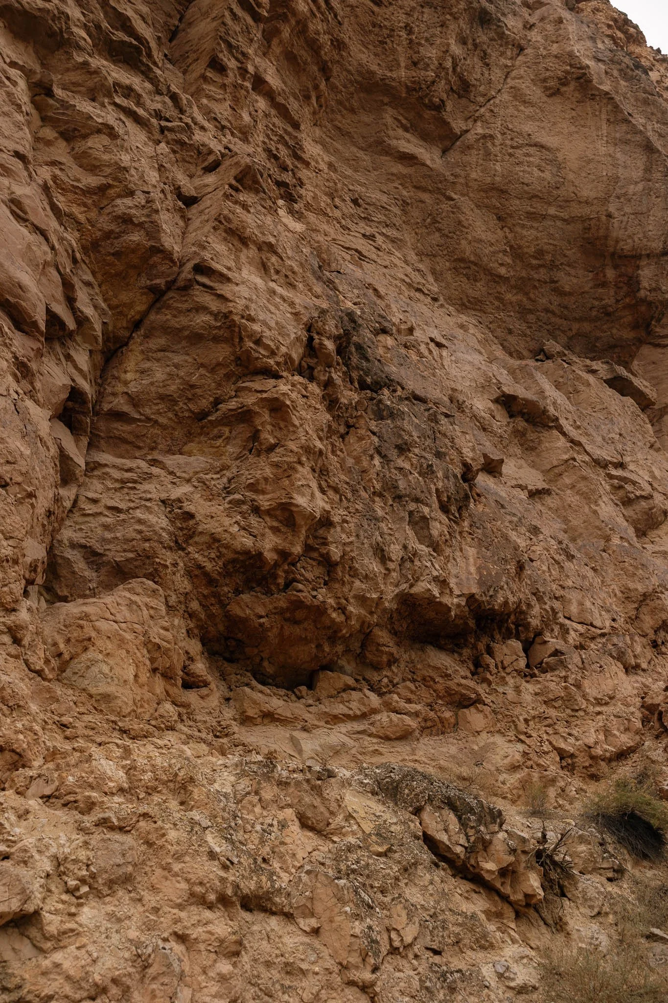 KaseyHollinsPhoto-557_websize.JPG