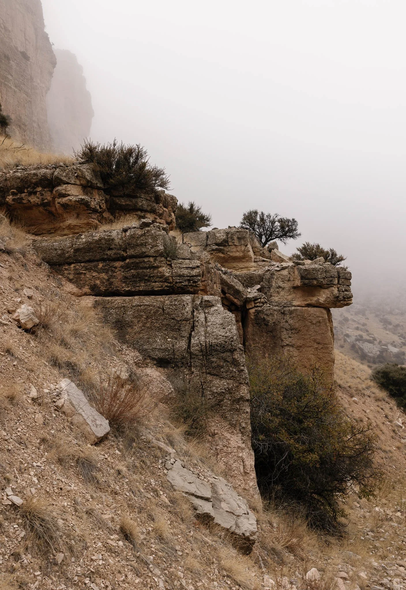 KaseyHollinsPhoto-602_websize.JPG