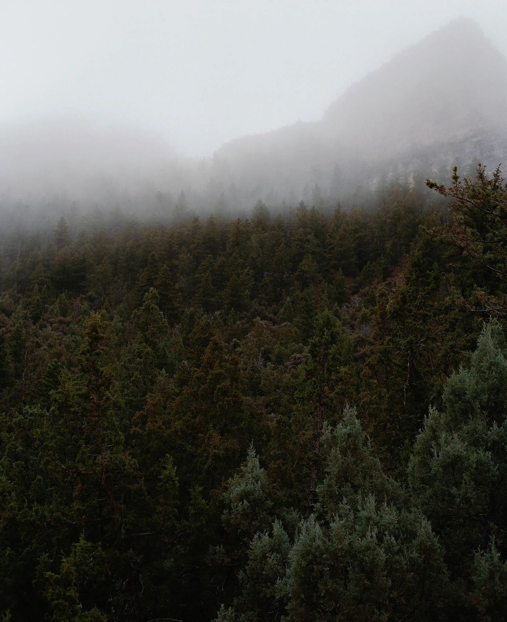 KaseyHollinsPhoto-716.jpg