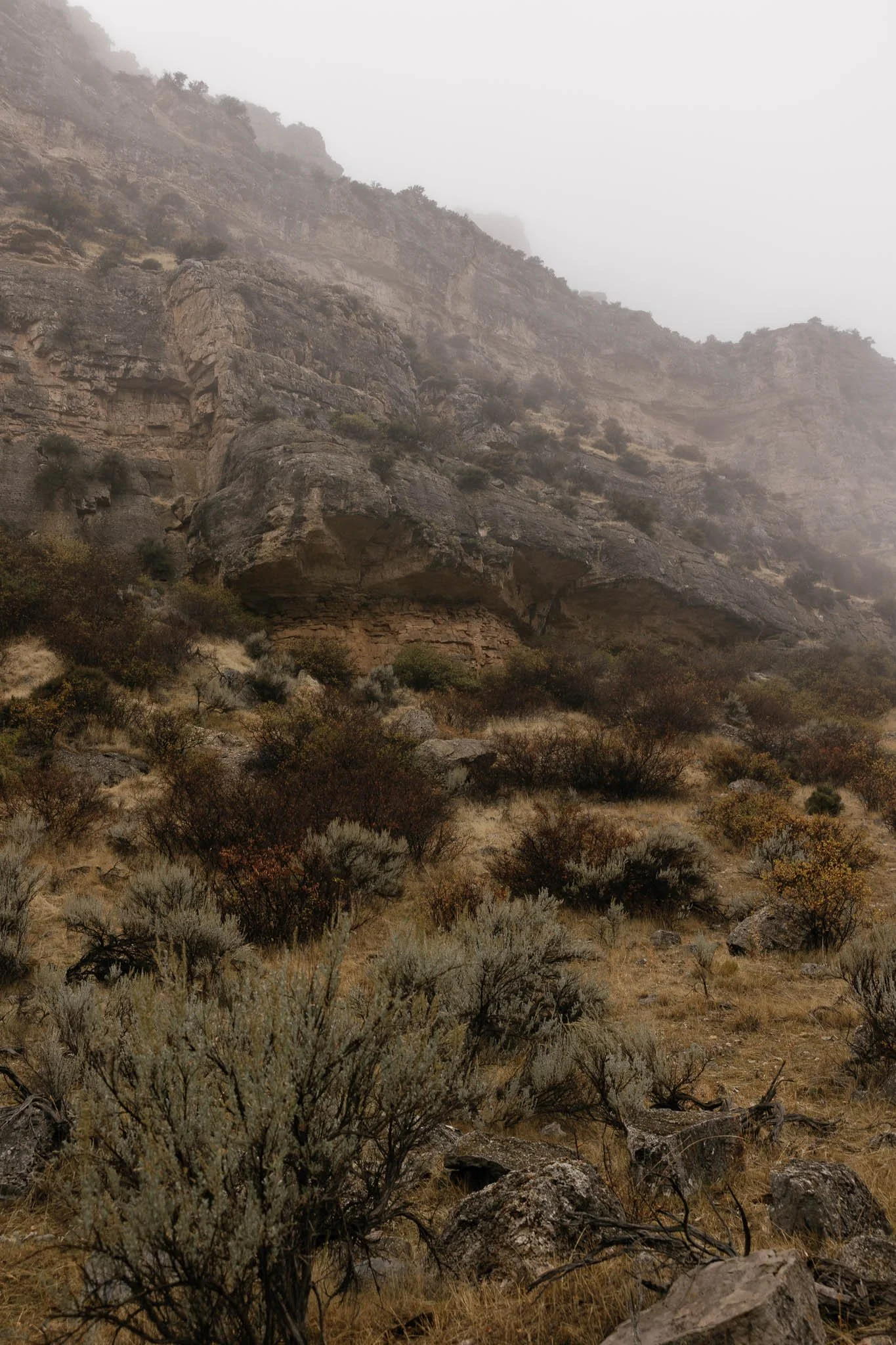 KaseyHollinsPhoto-594_websize.JPG