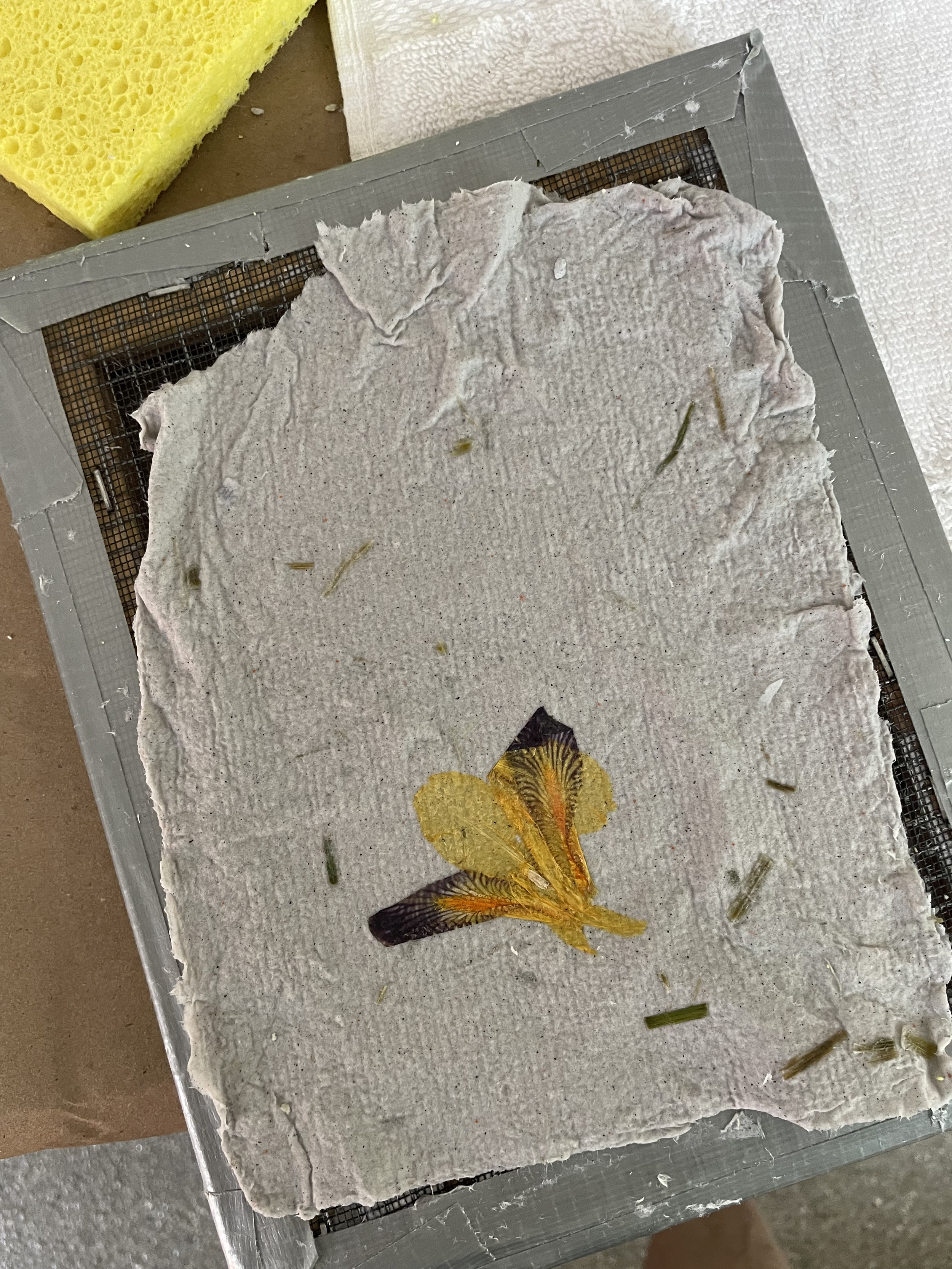 Paper Making: From Pulp to Art