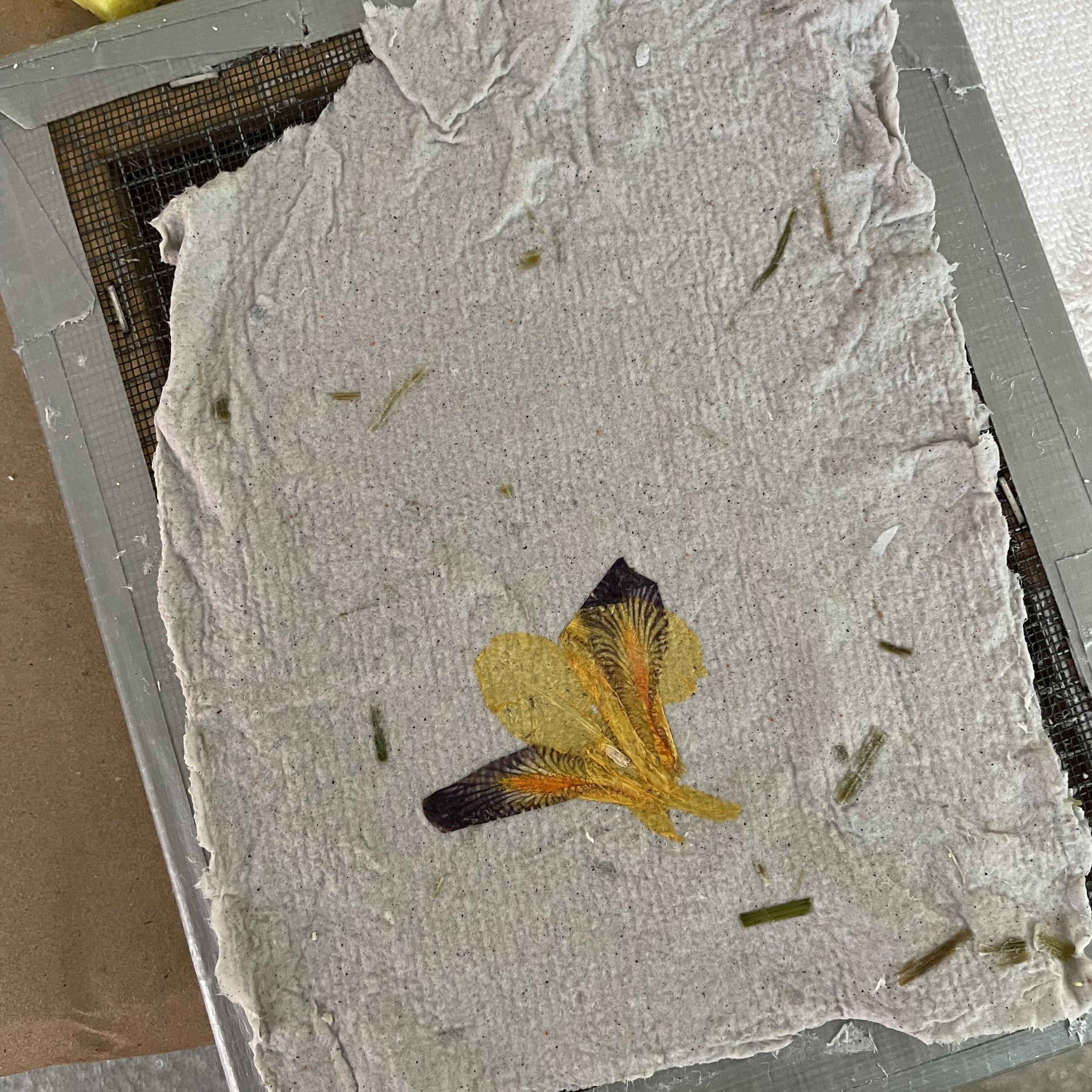 Paper making workshop on Long Island