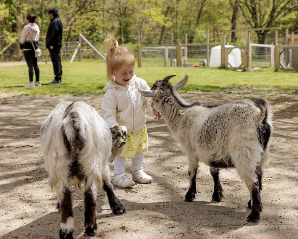 Special Events — Foundation for Wildlife Sustainability, Inc.