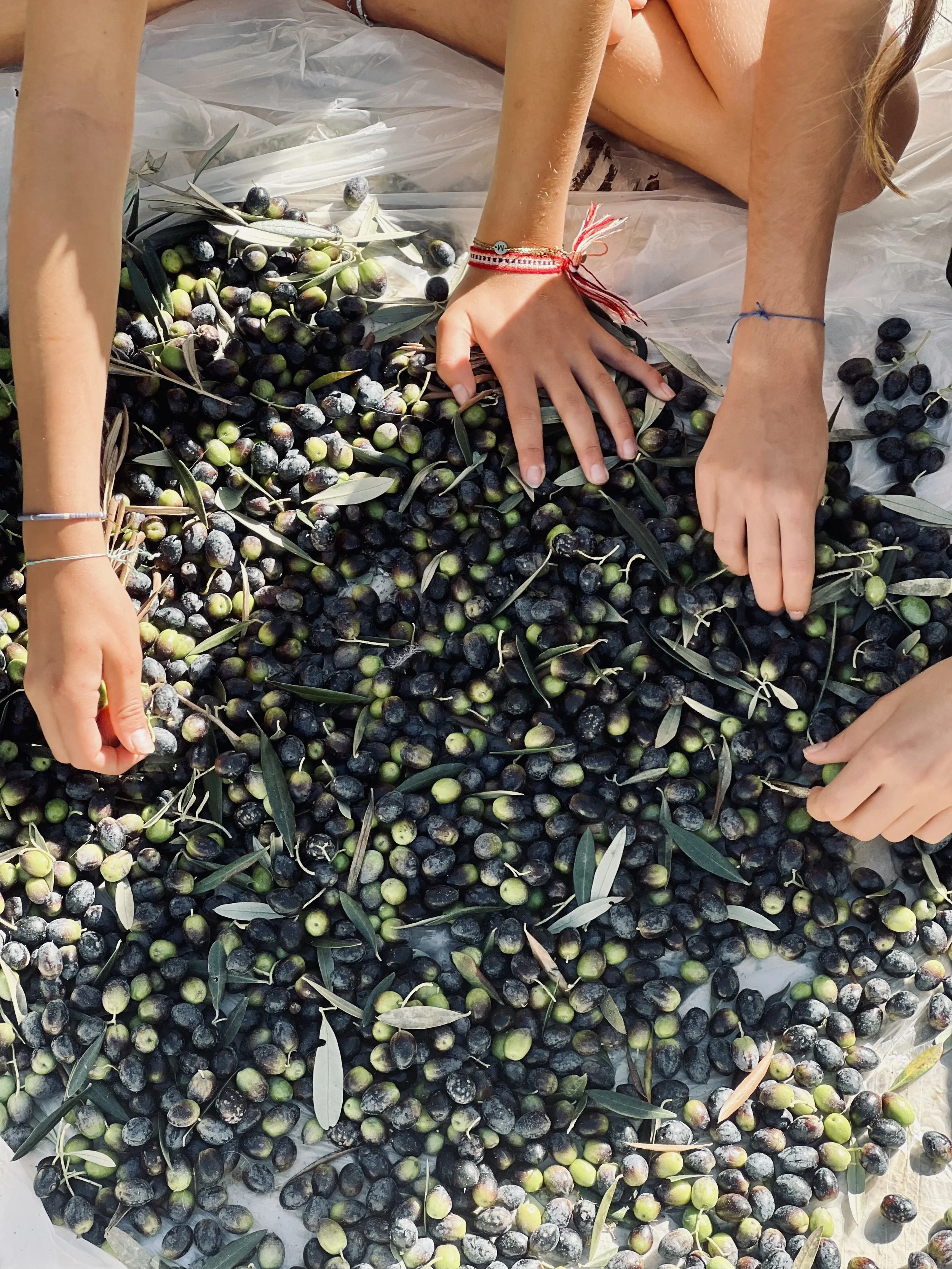 olives.jpg